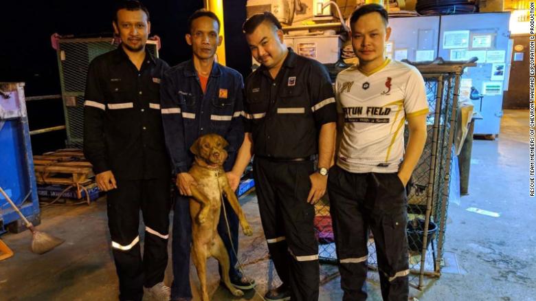 Boonrod has returned to the mainland to be looked after by a charity.